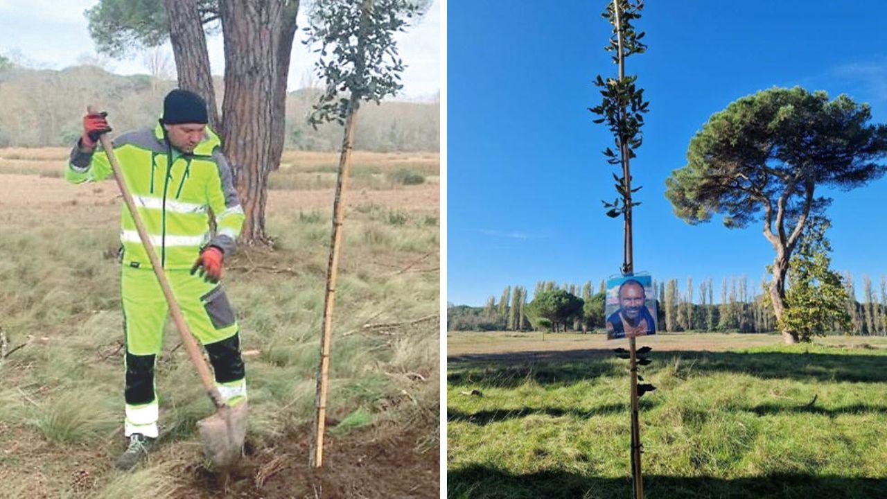 Un operaio del Parco mentre pianta uno degli alberi con dedica legato a un cittadino (foto d’archivio) e l’albero piantato l’altro giorno in ricordo di Federico Caloni