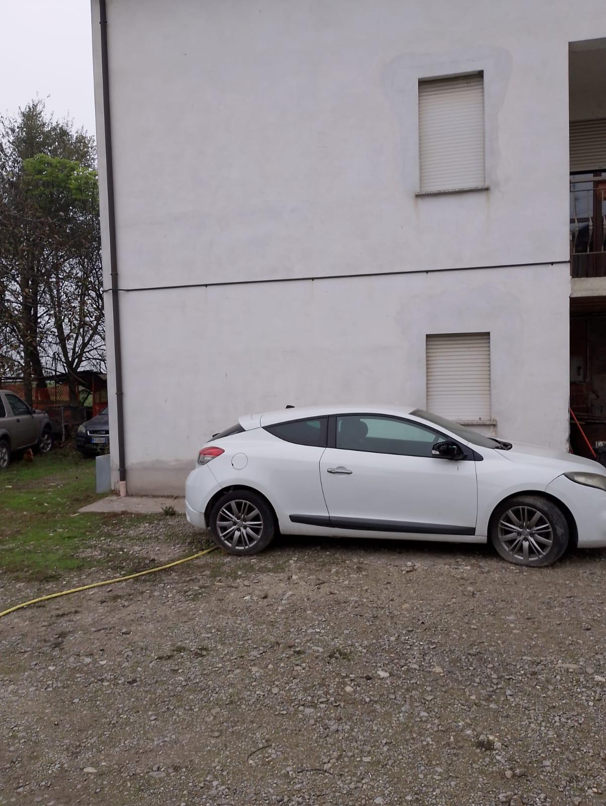 I ladri picchiano il cane per rubare in casa