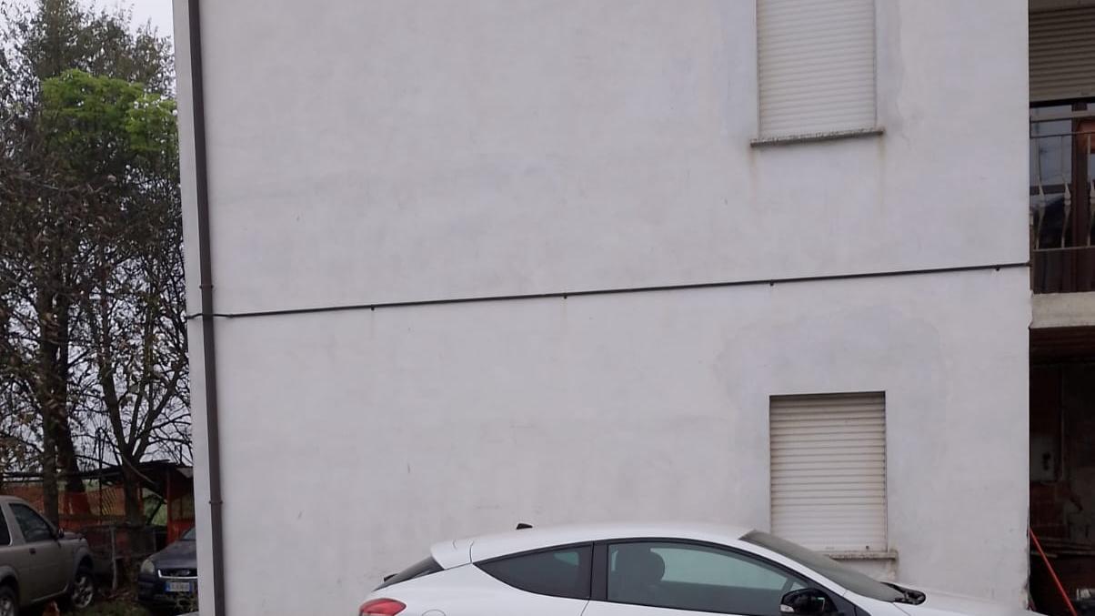 I ladri picchiano il cane per rubare in casa