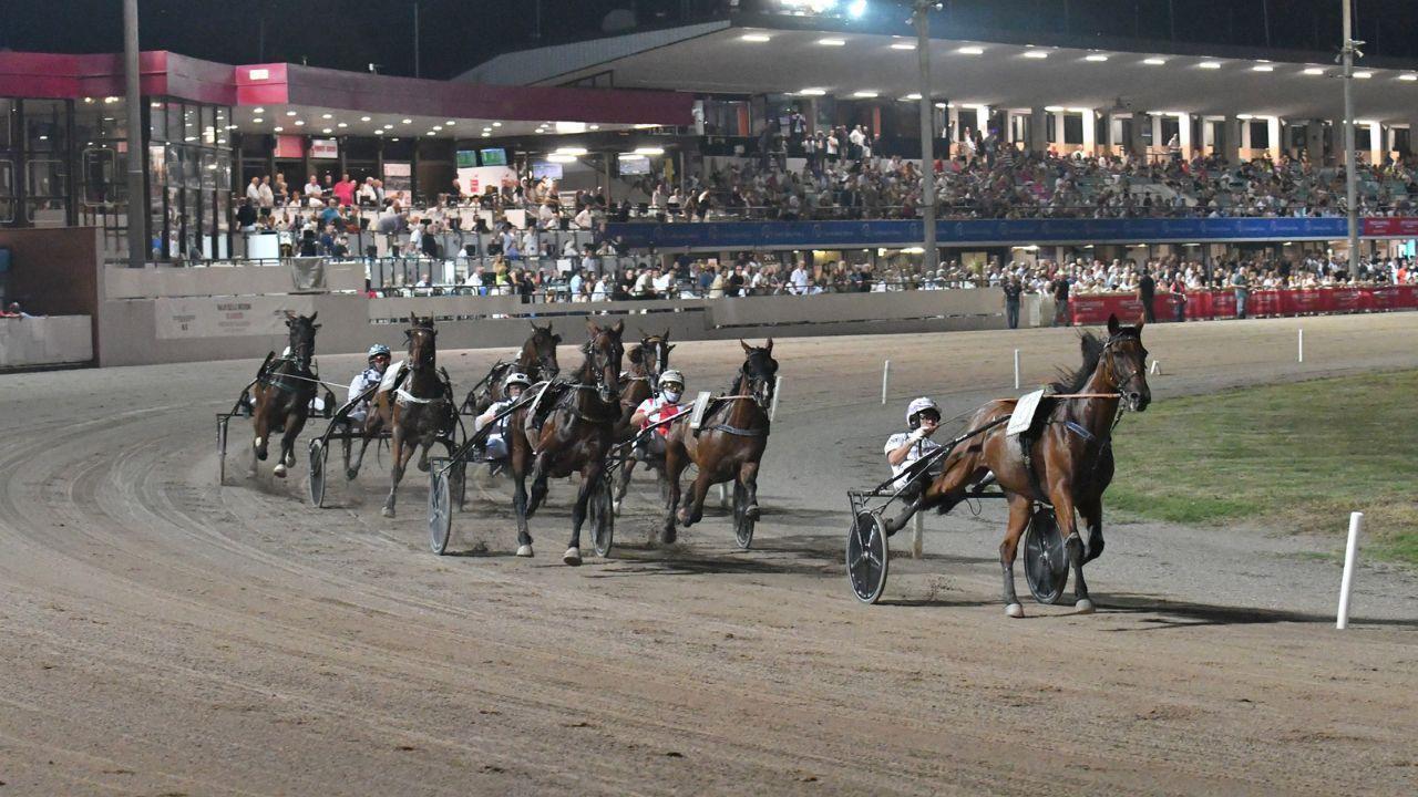 Cavalli in pista al Sesana all’ultimo Gran premio di Ferragosto (foto Rosellini)