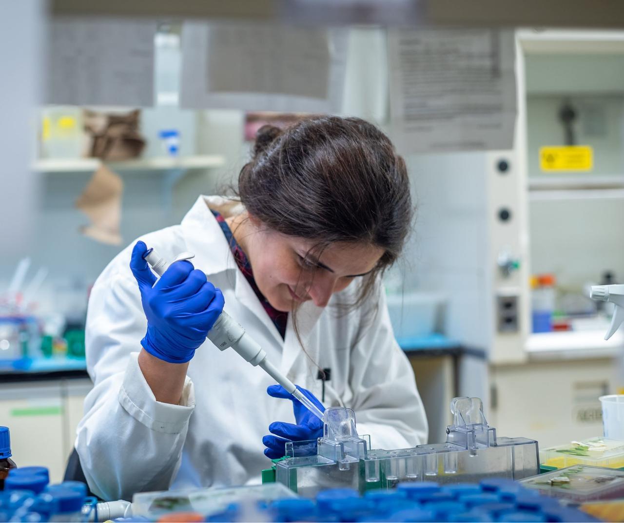 Export, il biomedicale di Mirandola in crescita salva il bilancio del primo semestre