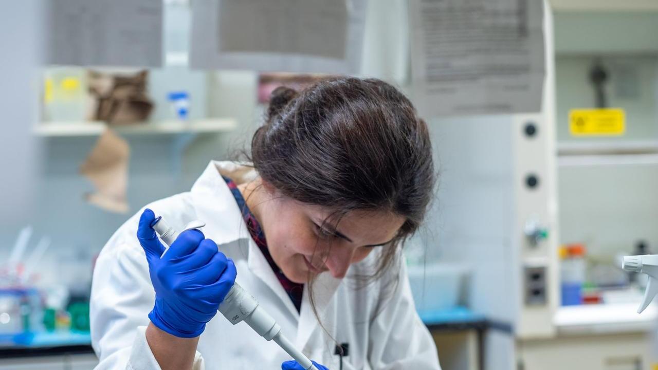 Export, il biomedicale di Mirandola in crescita salva il bilancio del primo semestre