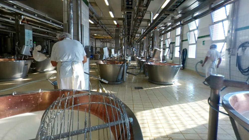 Uno sportello anti-molestie per i dipendenti di Caseifici GranTerre