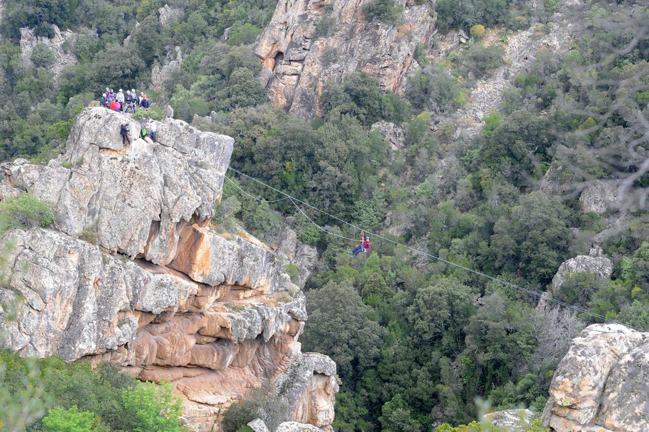 
	La teferica autorizzata di Padru&nbsp;

