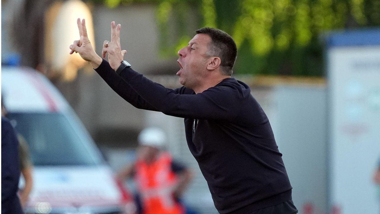 
	Mister D'Aversa

