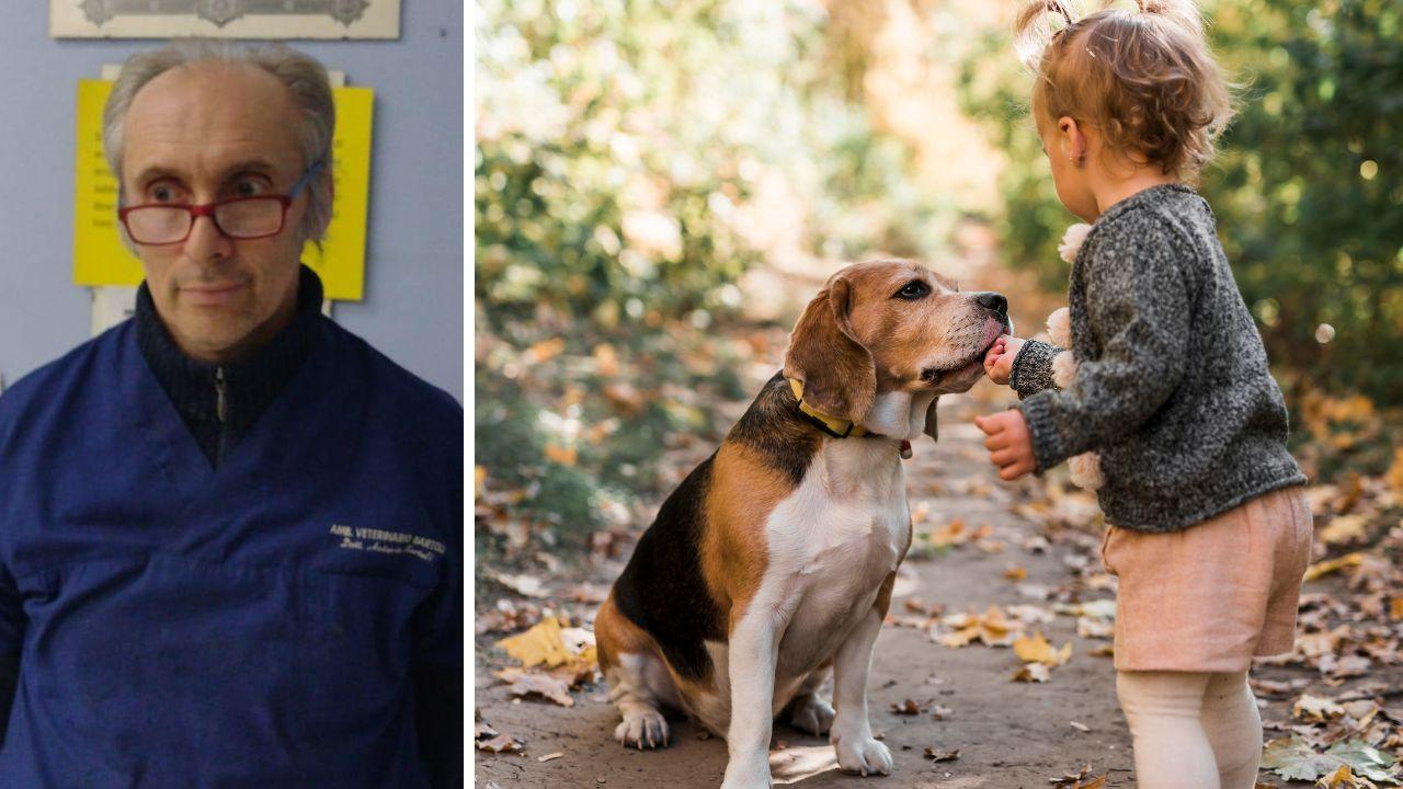 Che bello un cucciolo in casa: «Occhio, non è un giocattolo»<br type="_moz" />