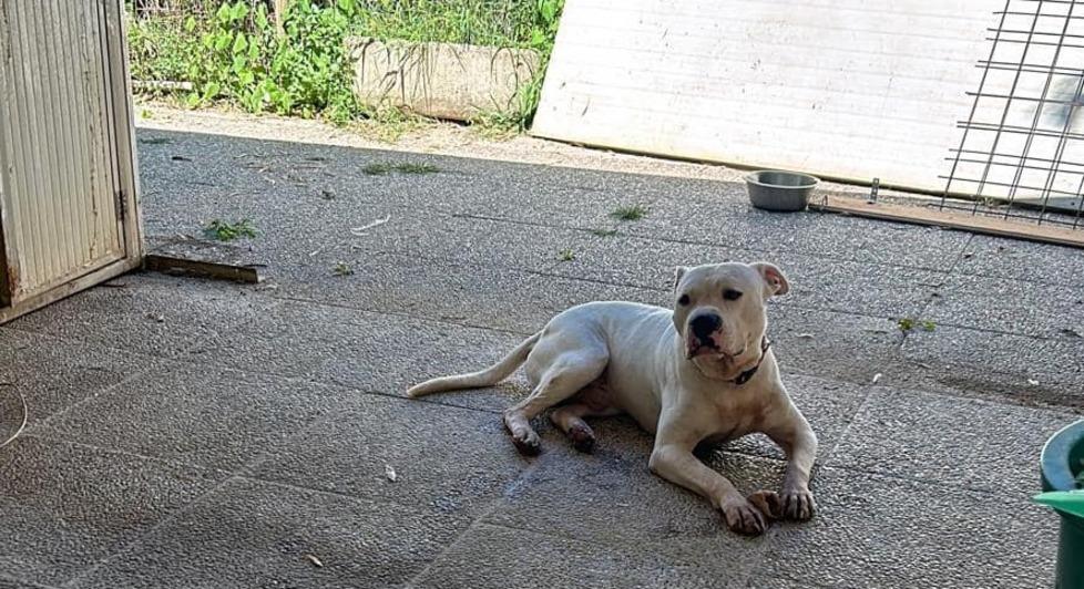 “Il frutteto di Fido”, le storie di chi sogna una nuova vita 