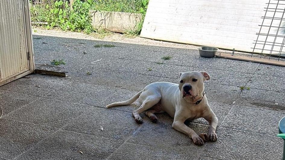 “Il frutteto di Fido”, le storie di chi sogna una nuova vita