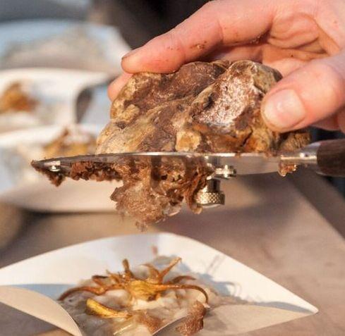 Torna a Viano la festa del tartufo