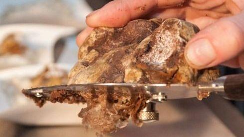 Torna a Viano la festa del tartufo