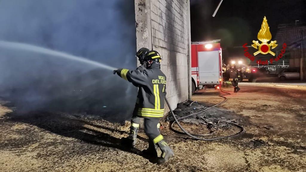 Incendio nella stalla di un’azienda agricola, morti alcuni animali