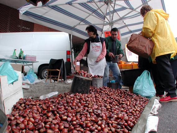 Le castagne di Belvì alla conquista di Piacenza