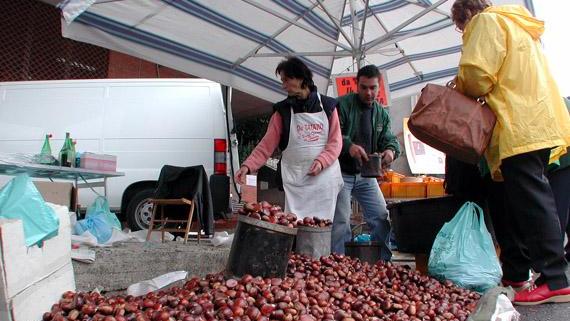 Le castagne di Belvì alla conquista di Piacenza