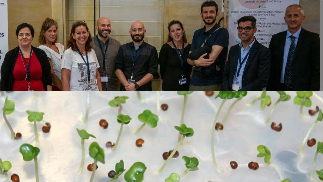 Dentro la banca sotto zero di Cagliari dove i semi valgono più dei soldi