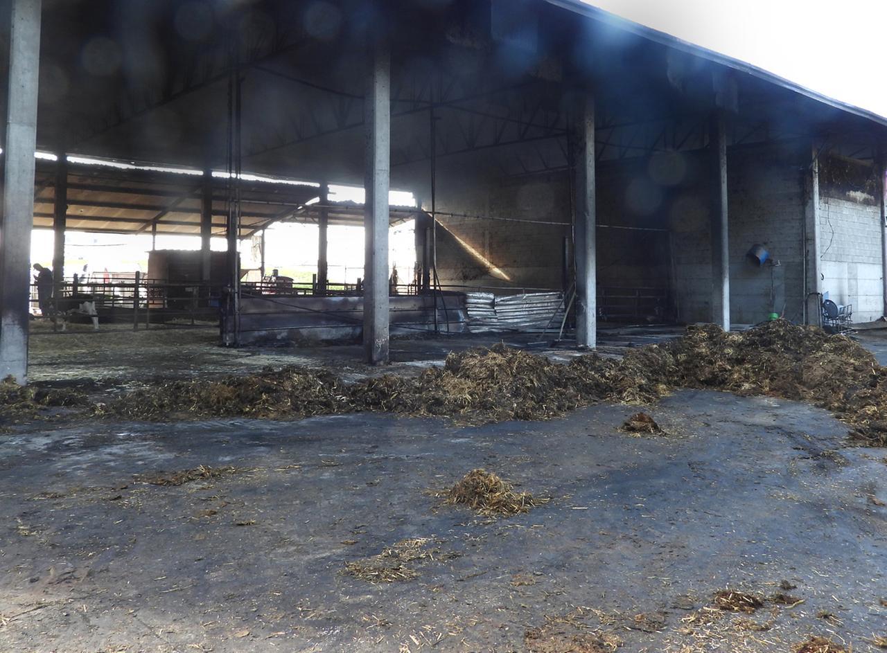 Fattoria distrutta dall’incendio, danni per centinaia di migliaia di euro