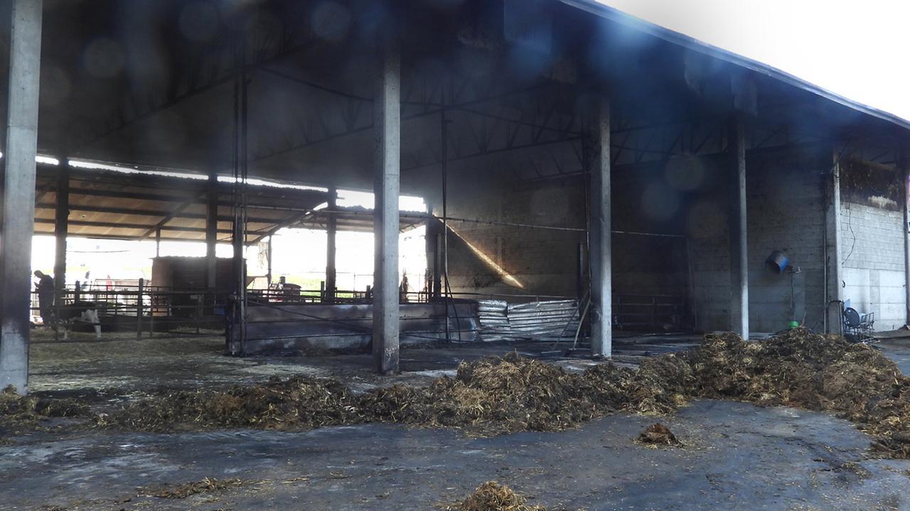 Fattoria distrutta dall’incendio, danni per centinaia di migliaia di euro