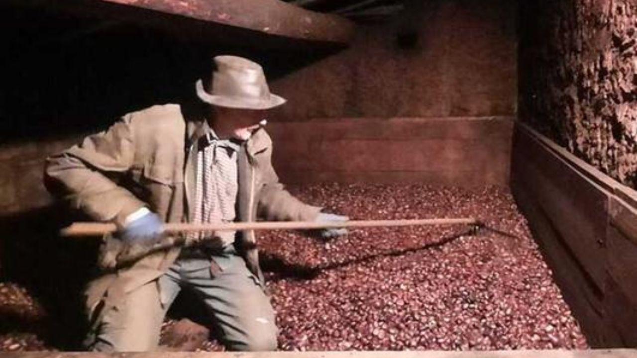 Ugo Bugelli al suo metato