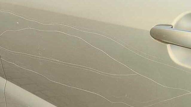 Botte e minacce, arrestata la vicina: «Voleva morta mia figlia di 3 anni»<br type="_moz" />