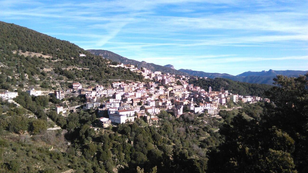 Una veduta panoramica di Talana