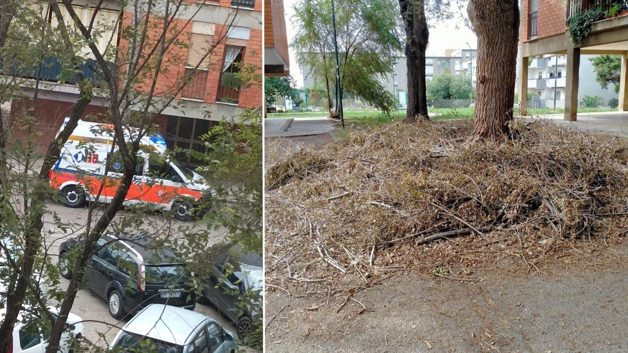 Sassari, la protesta del comitato: «Nessuno ritira i rami secchi e l’ambulanza non può passare»