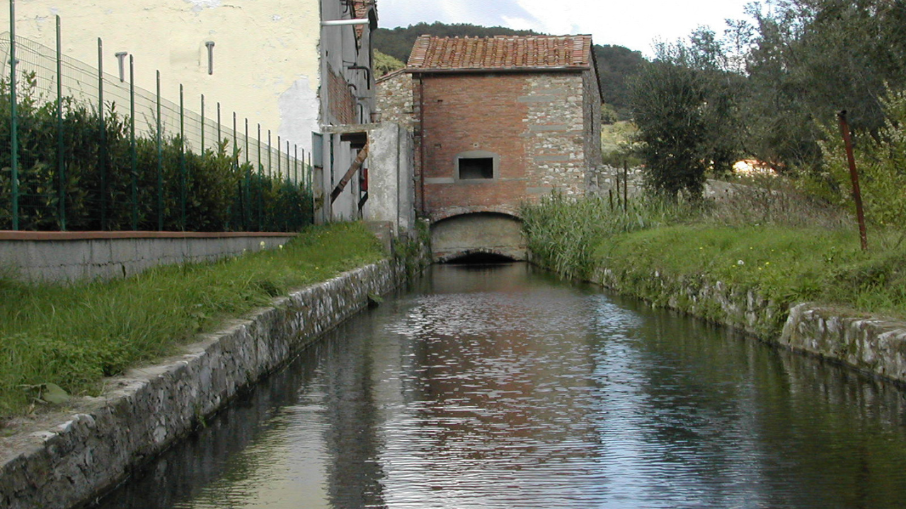 Gorone al cavalciotto di Santa Lucia