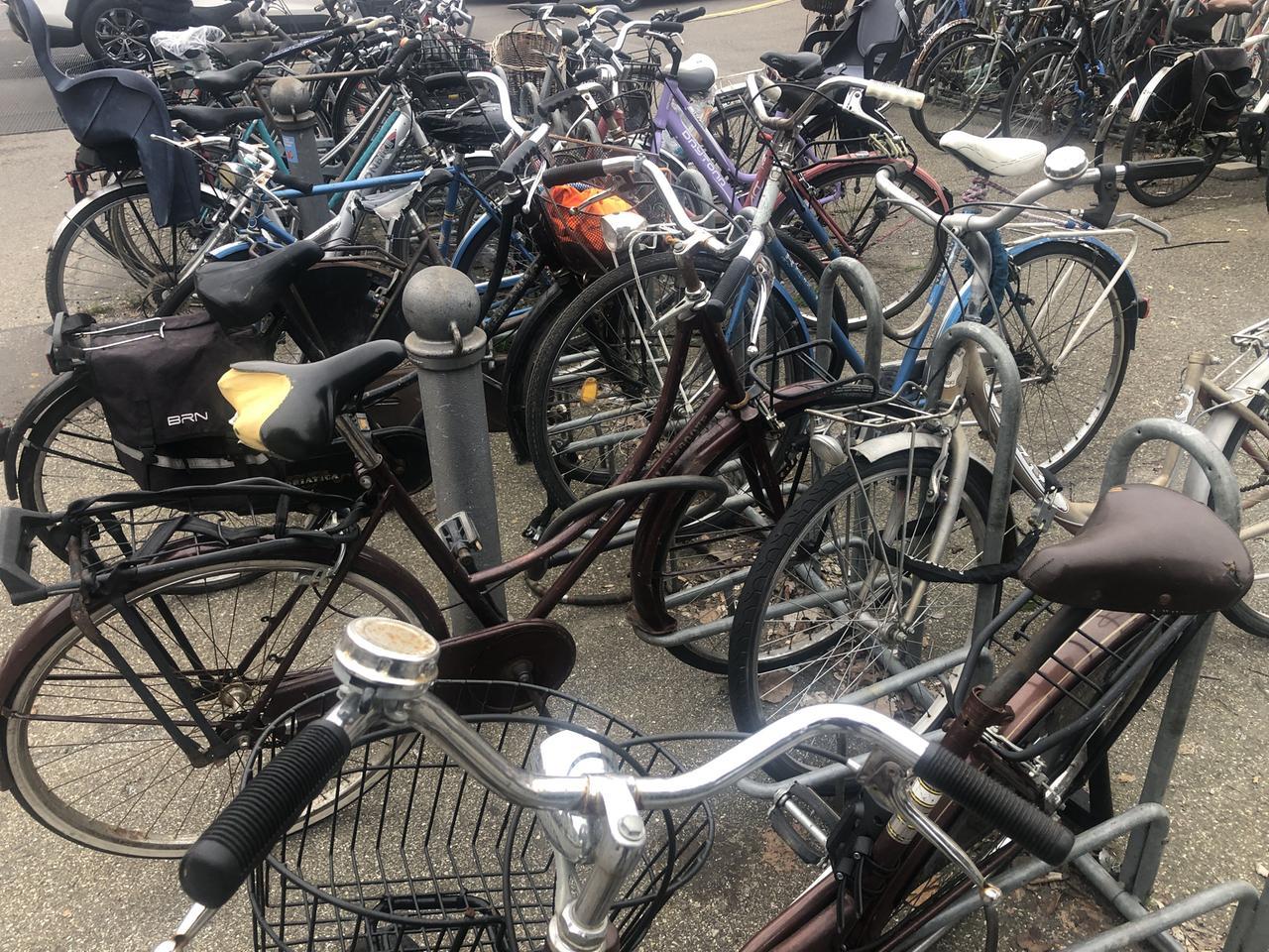 Reggio-Modena in treno e ritorno: così ora viaggiano le bici rubate