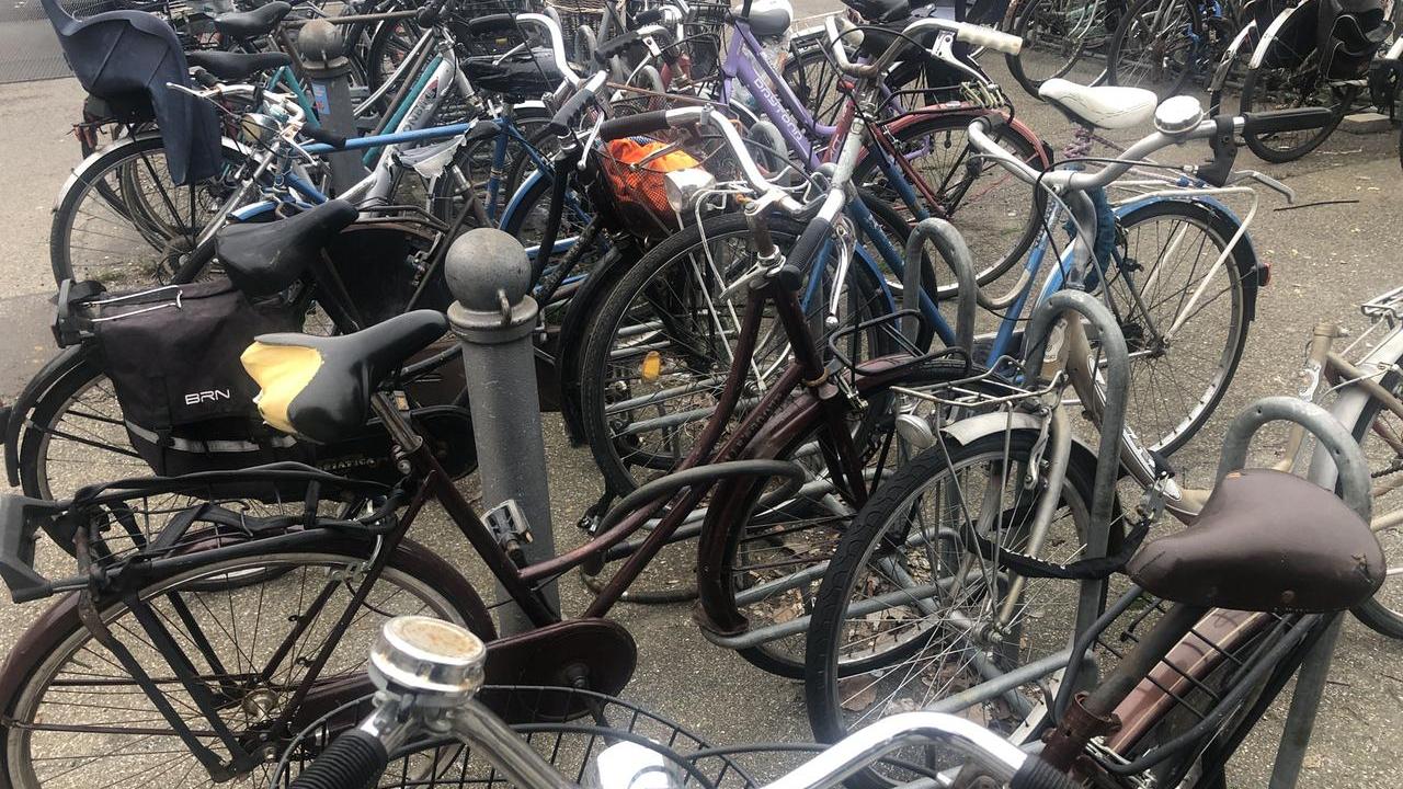 Reggio-Modena in treno e ritorno: così ora viaggiano le bici rubate