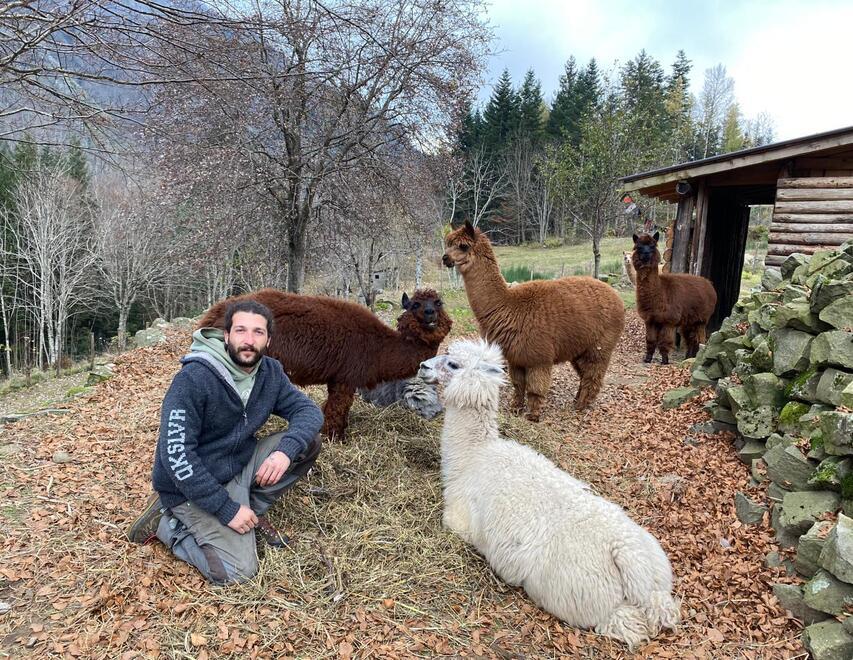 
	Niccol&ograve; Rossi con i suoi esemplari di alpaca

