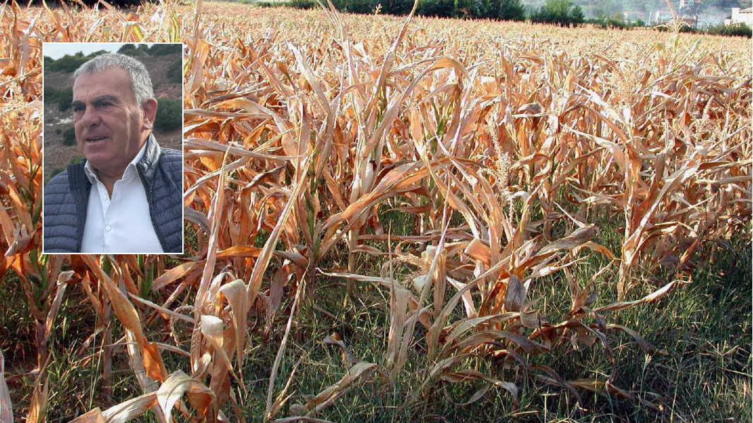 La siccità colpisce il nord ovest Sardegna: centinaia di aziende agricole a rischio