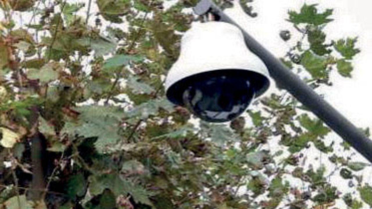 Viareggio, arrivano quattordici telecamere in più: dove saranno piazzate