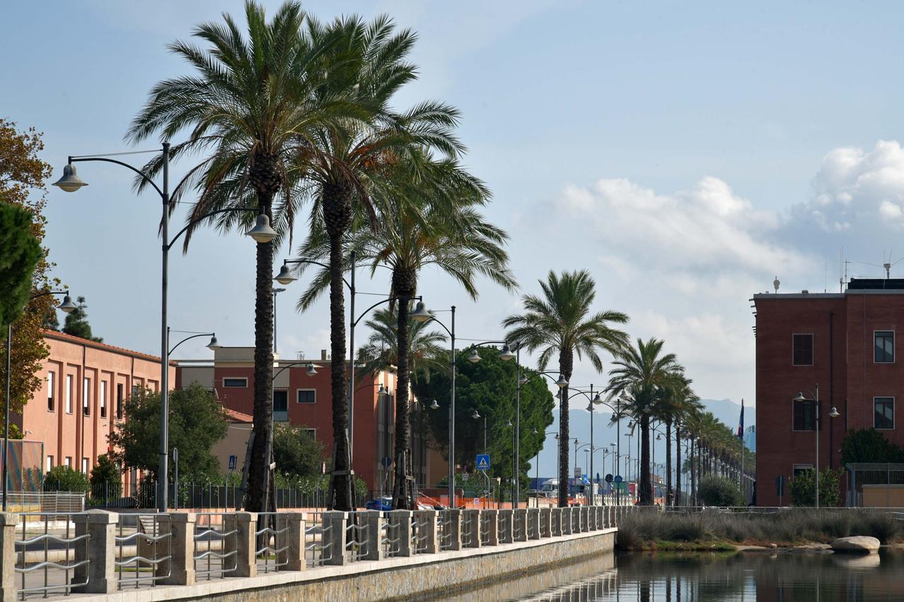 Olbia, le 43 palme dell’Isola Bianca sono pericolanti: saranno sostituite