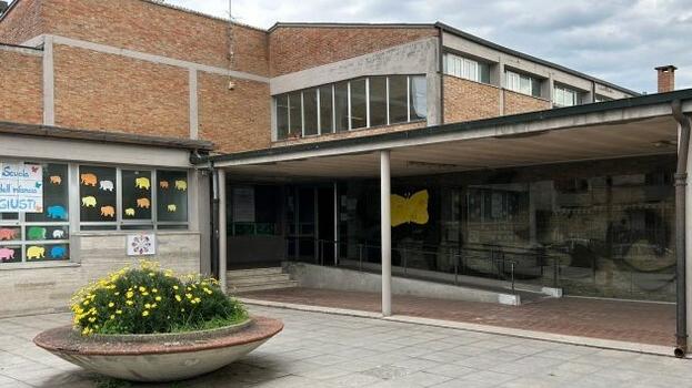 Ponsacco, topi alle elementari Giusti: l’allarme delle insegnanti e l’intervento di pulizia