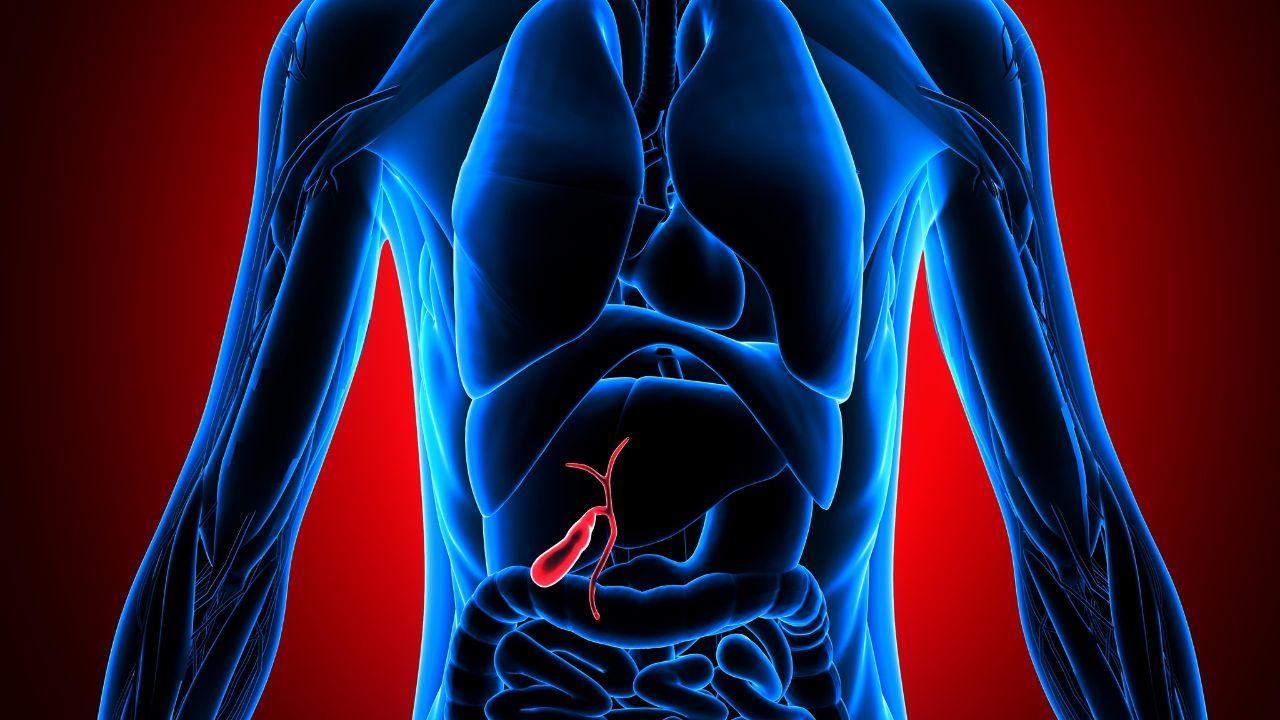 Scoperto un nuovo bersaglio farmacologico per provare a rallentare la progressione del tumore della colecisti