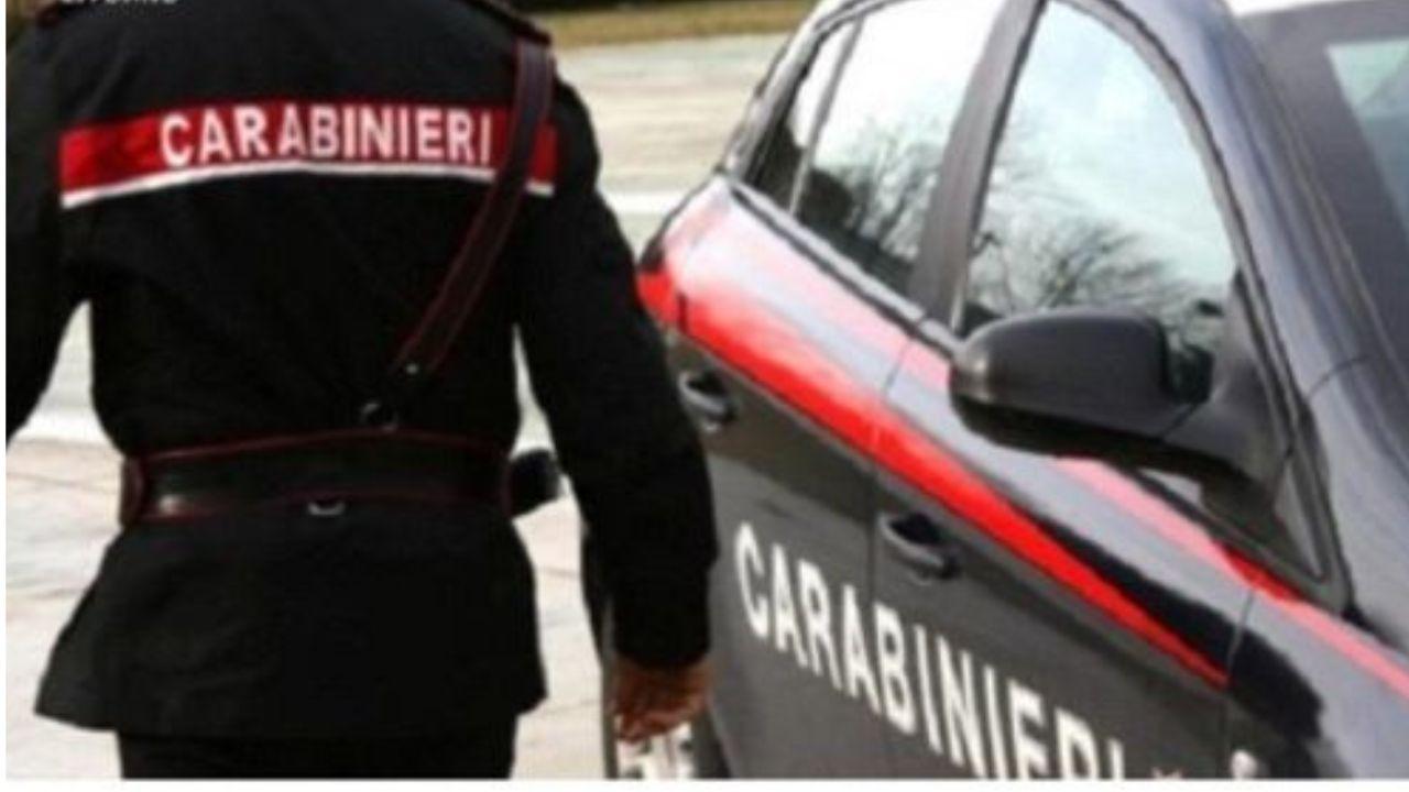
	Sul caso indagano i carabinieri (Foto di repertorio)


