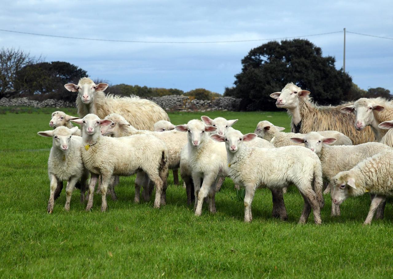 “Storia di un emigrato”, il libro di Tore Quartu fa tappa a Teramo