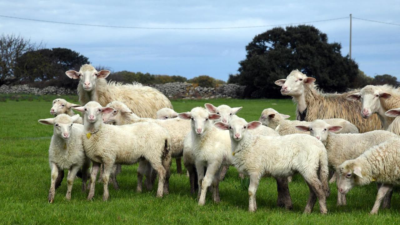“Storia di un emigrato”, il libro di Tore Quartu fa tappa a Teramo