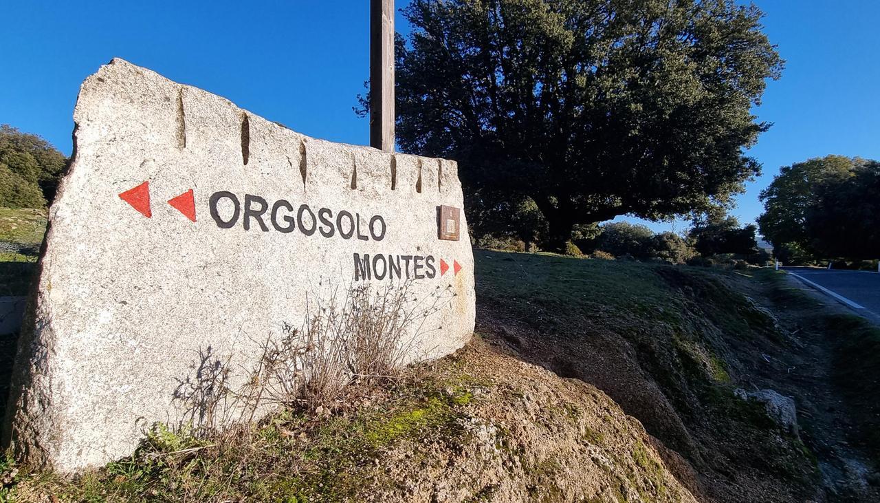 Attentato nel cantiere di Cumbidanovu, la condanna di Alessandra Todde: «Ferita l’intera Sardegna»