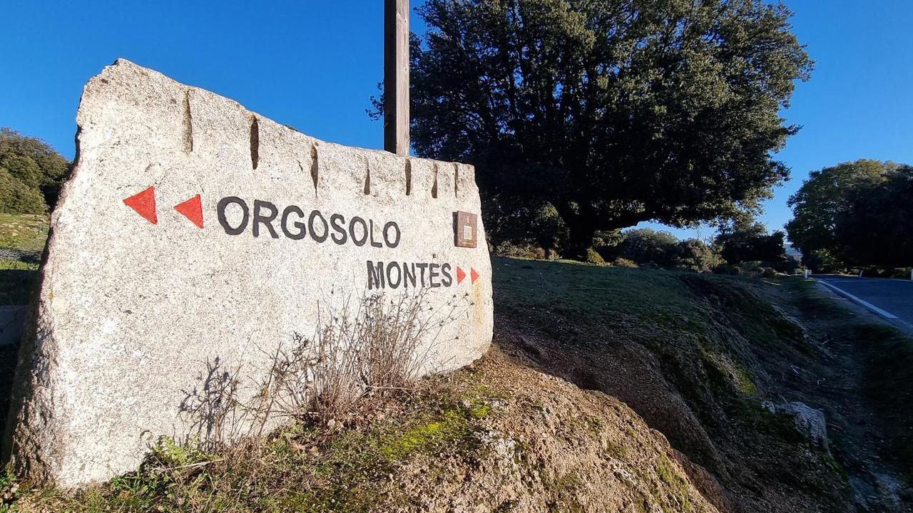 Attentato nel cantiere di Cumbidanovu, la condanna di Alessandra Todde: «Ferita l’intera Sardegna»