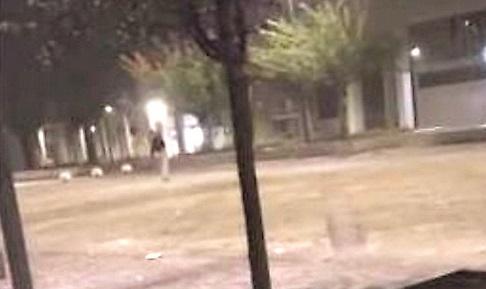 Spari con la scacciacani a Pontelagoscuro: 19enne li rivendica con un video sui social