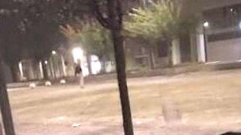 Spari con la scacciacani a Pontelagoscuro: 19enne li rivendica con un video sui social