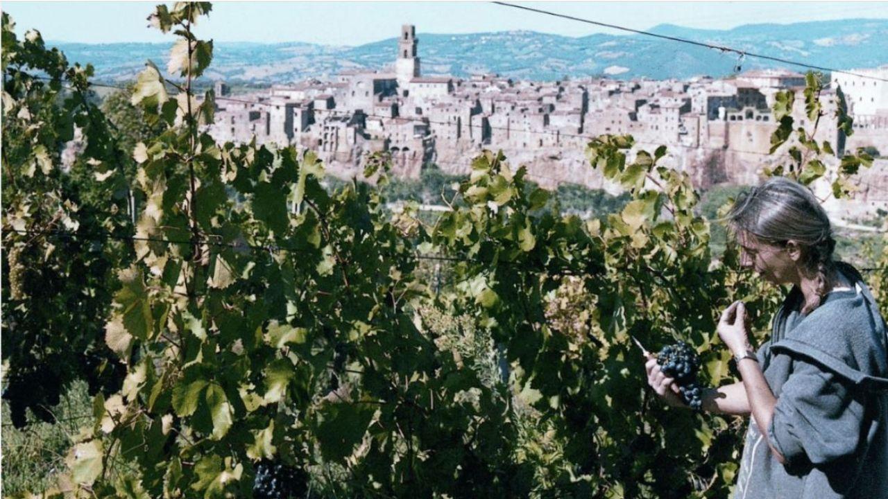 
	Benini alla vigna con vista &ldquo;sul tufo&rdquo;

