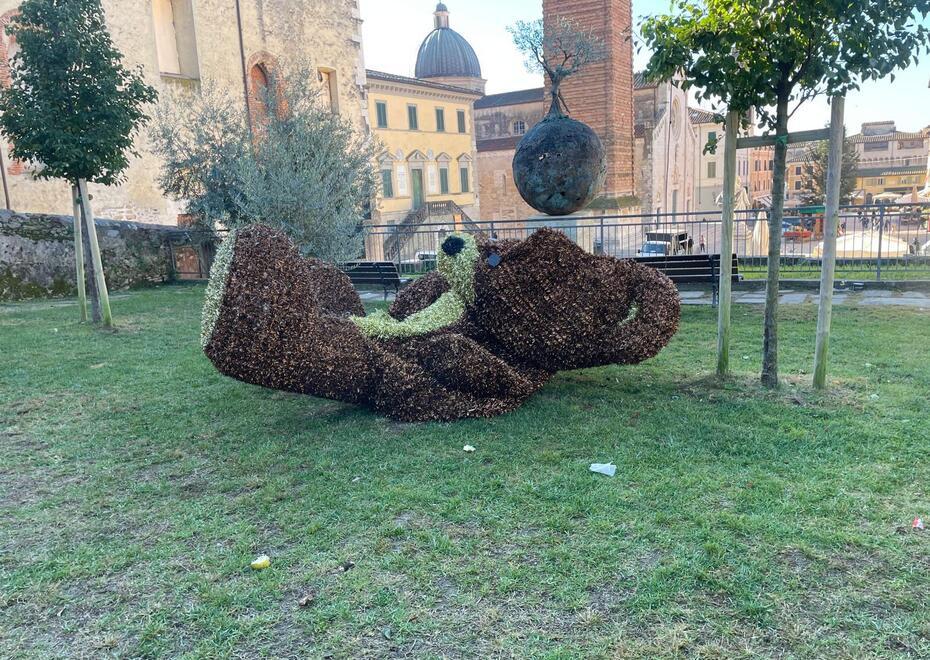Pietrasanta, vandali danneggiano l’orso Teddy: «I responsabili ne risponderanno»