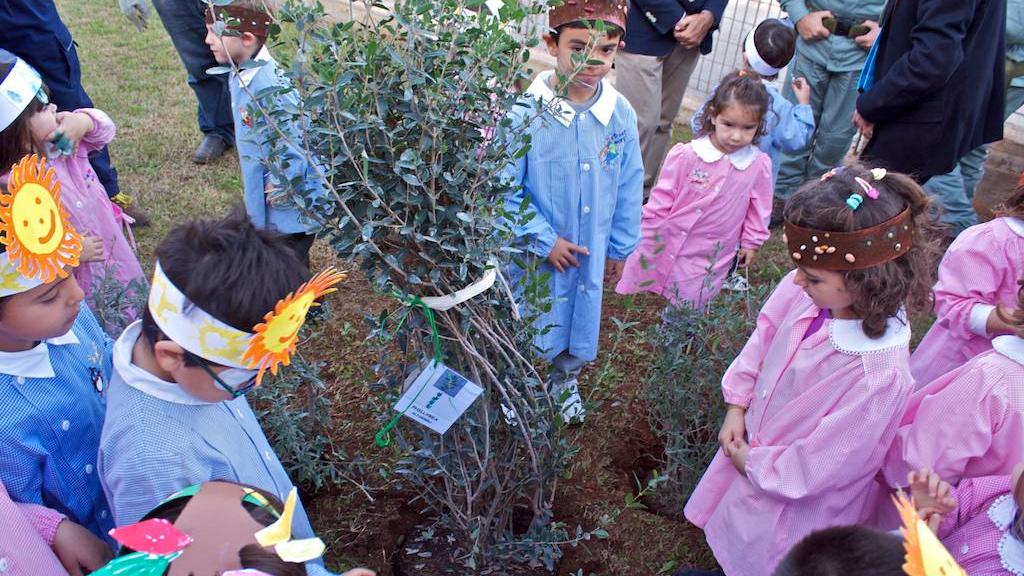 Sassari, cento nuovi alberi in via Ruffili per festeggiare i nati nel 2023