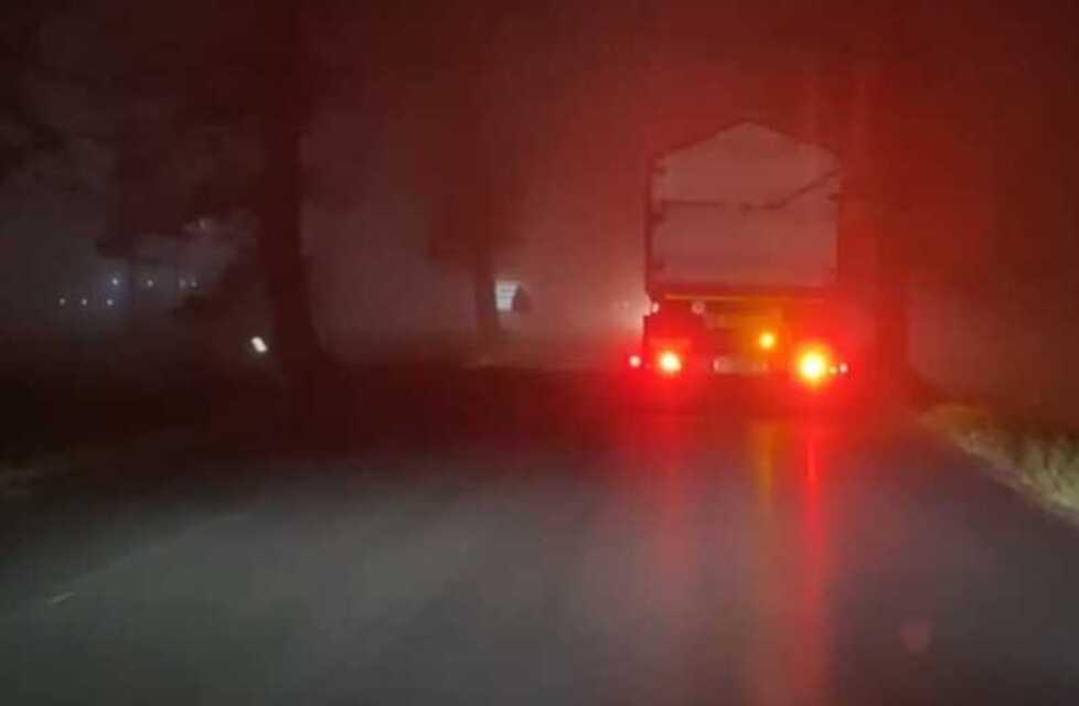 
	La strada riasfaltata al buio e senza strisce alla Cavazzona

