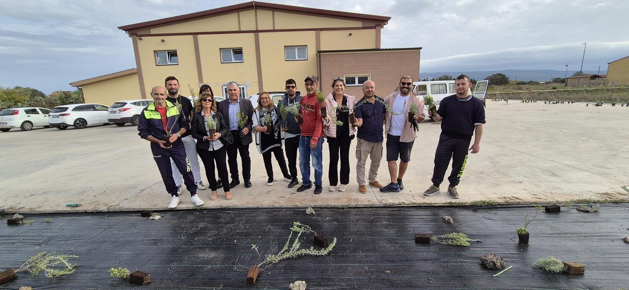 Area verde curata da giardinieri speciali: messi a dimora elicriso, mirto e rosmarino
