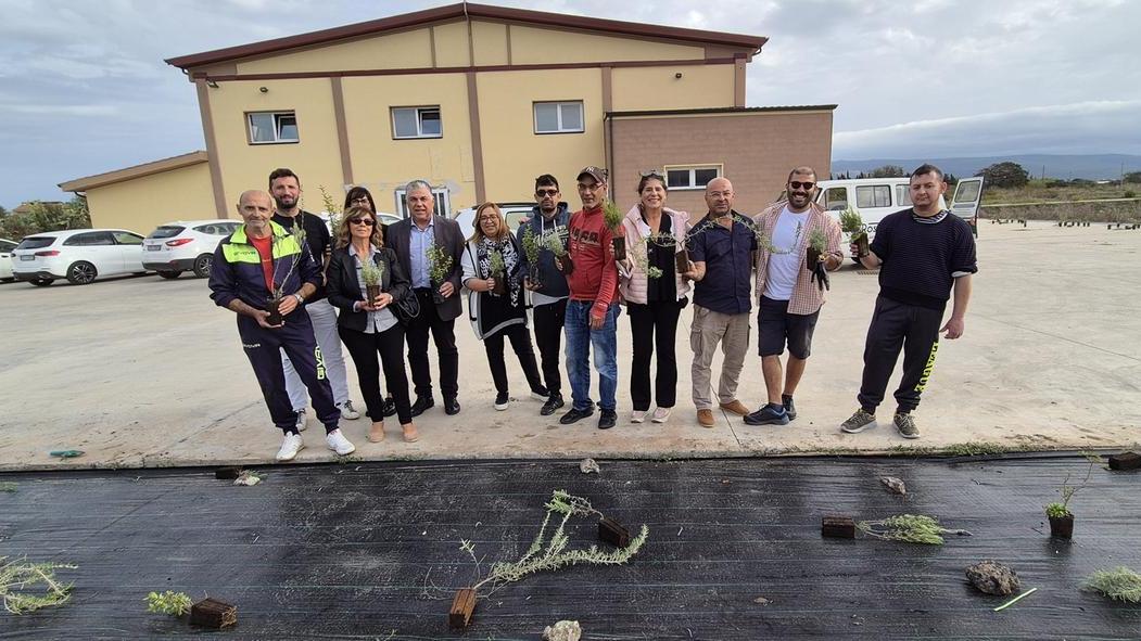 Area verde curata da giardinieri speciali: messi a dimora elicriso, mirto e rosmarino