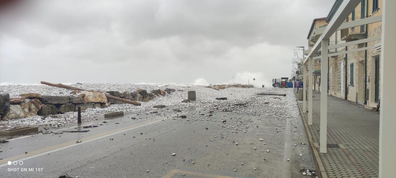 
	I danni a Marina di Pisa

