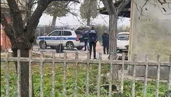 Bondeno, polizia locale e carabinieri nel rifugio per cani sotto accusa