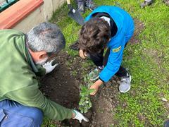 Sassari, corso Cossiga si trasforma in un laboratorio di piantumazione per la festa degli alberi