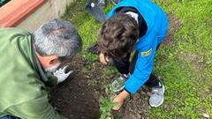 Sassari, corso Cossiga si trasforma in un laboratorio di piantumazione per la festa degli alberi